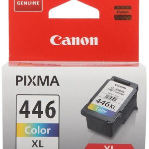 Encre CANON CL-446XL couleur DB 13ML
